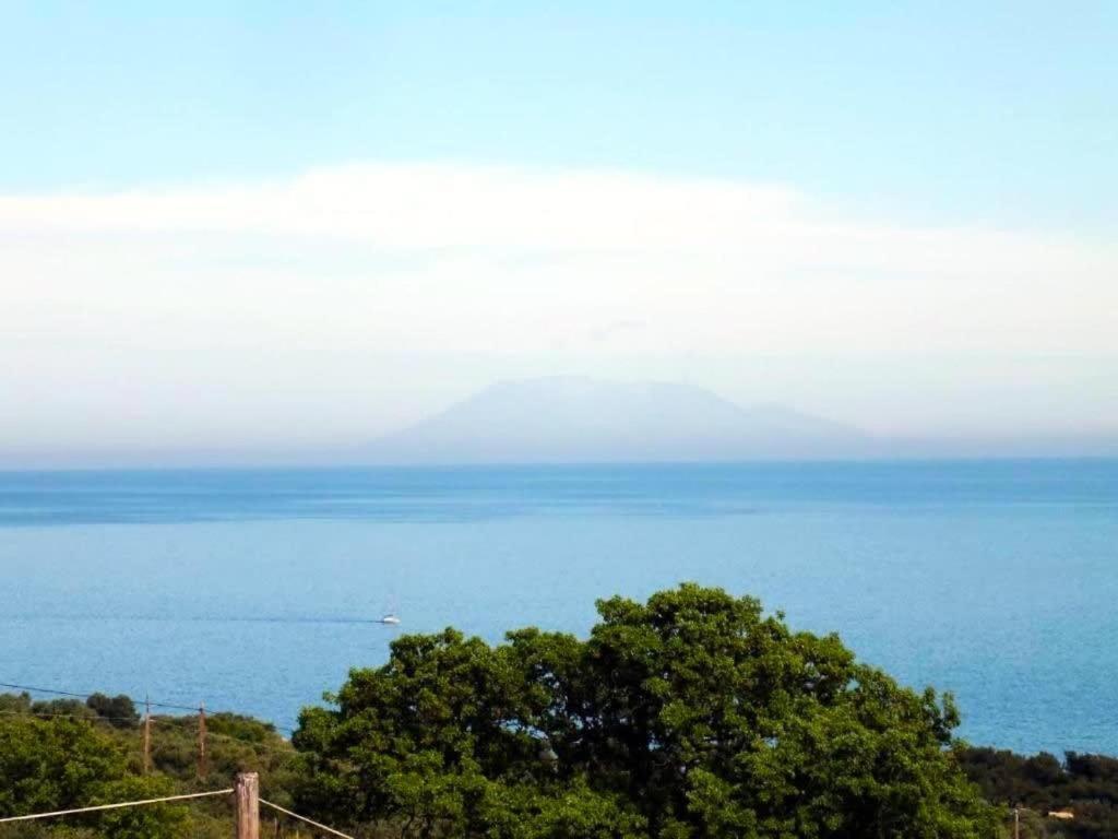 Thasos Seaside Serenity - Seaview & Garden Nests Lejlighed Astris Eksteriør billede