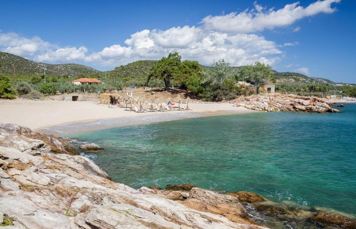 Thasos Seaside Serenity - Seaview & Garden Nests Lejlighed Astris Eksteriør billede