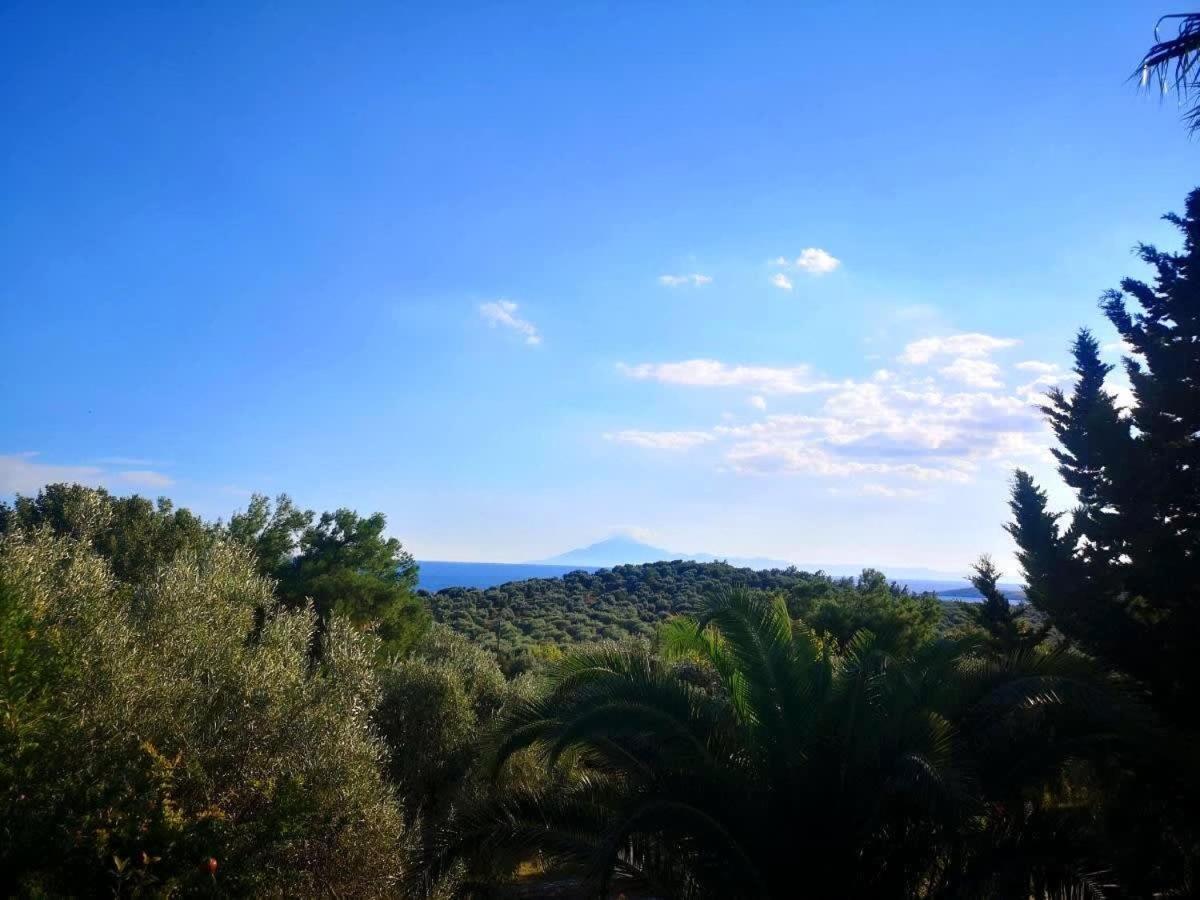 Thasos Seaside Serenity - Seaview & Garden Nests Lejlighed Astris Eksteriør billede